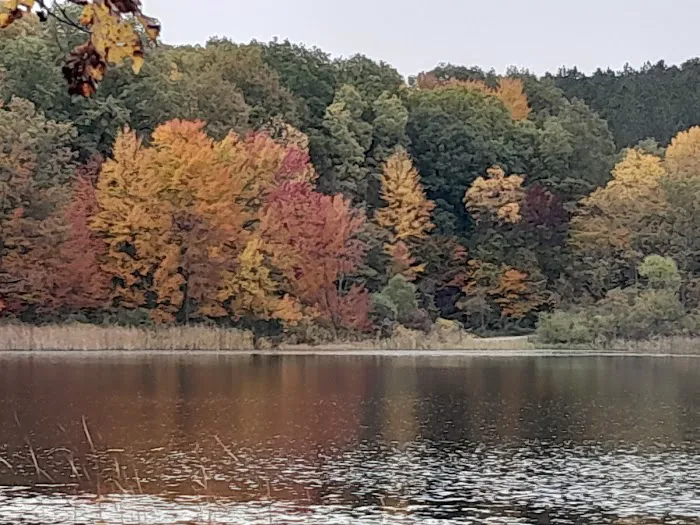 Brush Lake Campground Picture 1