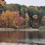 Brush Lake Campground