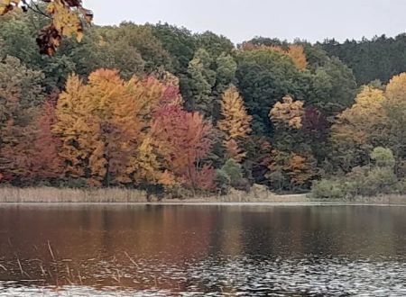 Brush Lake Campground