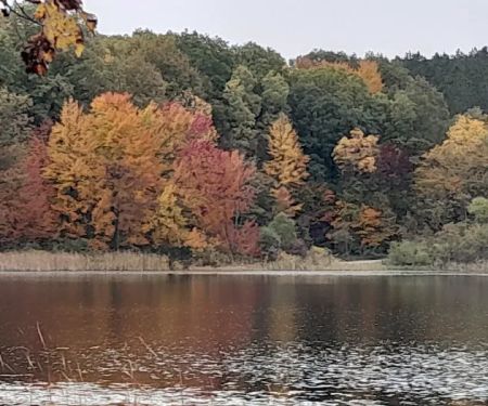 Brush Lake Campground