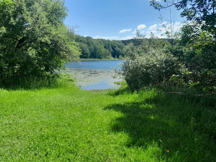 Brush Lake Campground Picture 4