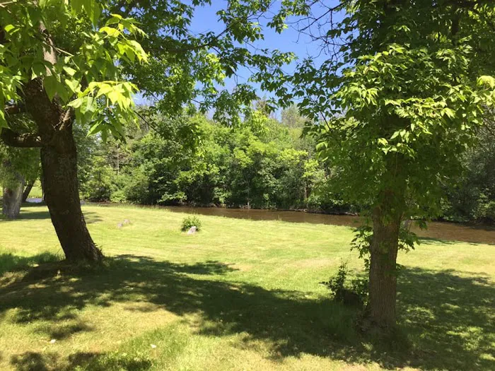 Blodgett Landing Campground Picture 3