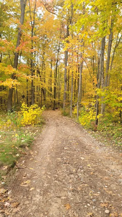 Hidden Hill Family Campground Picture 9