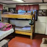 Camp Deer Trails