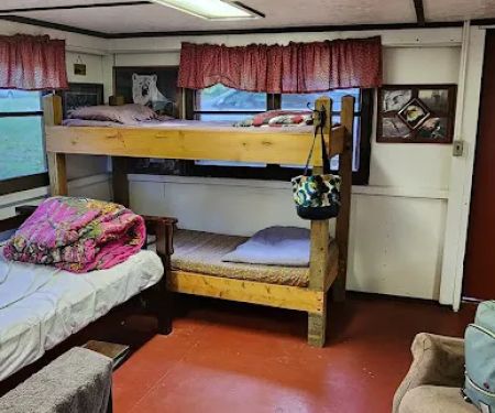 Camp Deer Trails