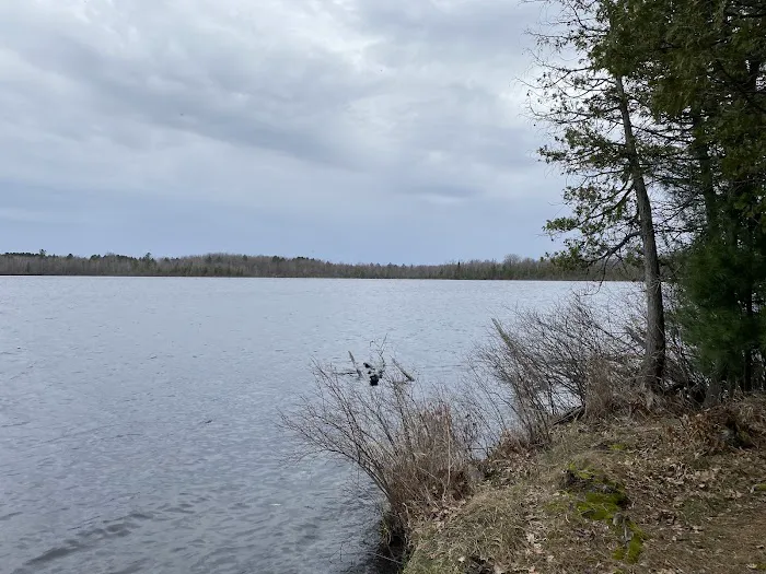 Mud Lake State Forest Campground Picture 4