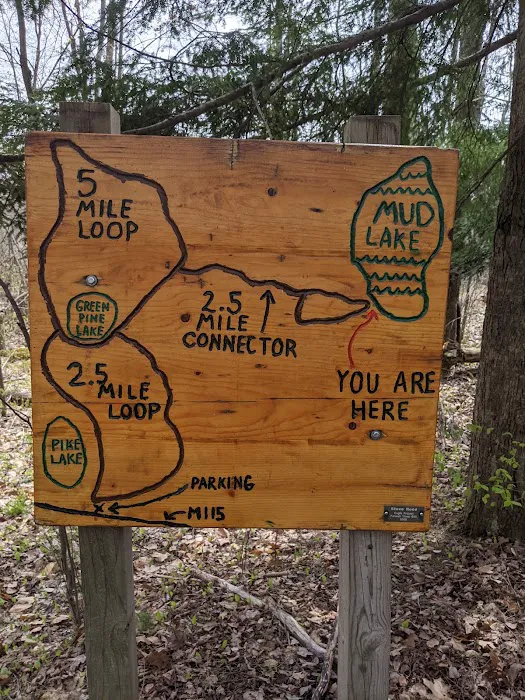 Mud Lake State Forest Campground Picture 5