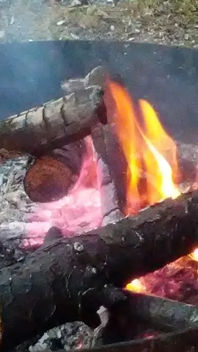 MUSKEGON RIVER CAMPGROUND Picture 9