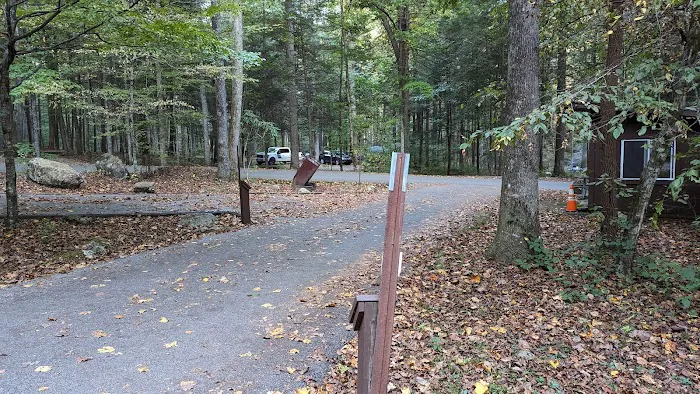 Big Cove Campground Picture 2