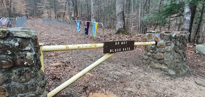 Big Cove Campground Picture 8
