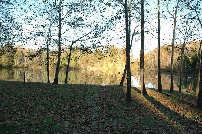 Soaring Eagle Campground Picture 4