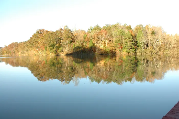 Soaring Eagle Campground Picture 5