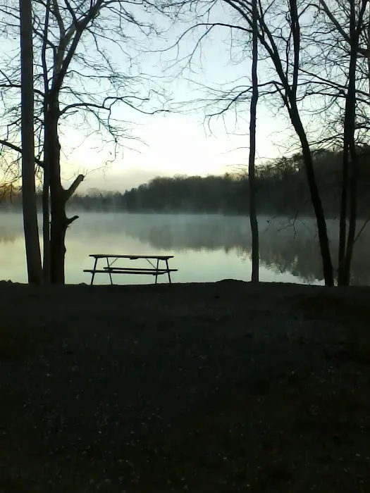 Soaring Eagle Campground Picture 6