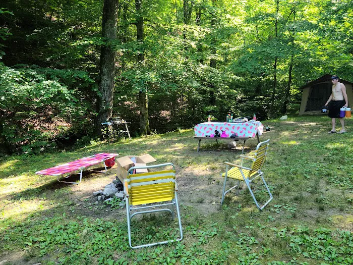 Soaring Eagle Campground Picture 9