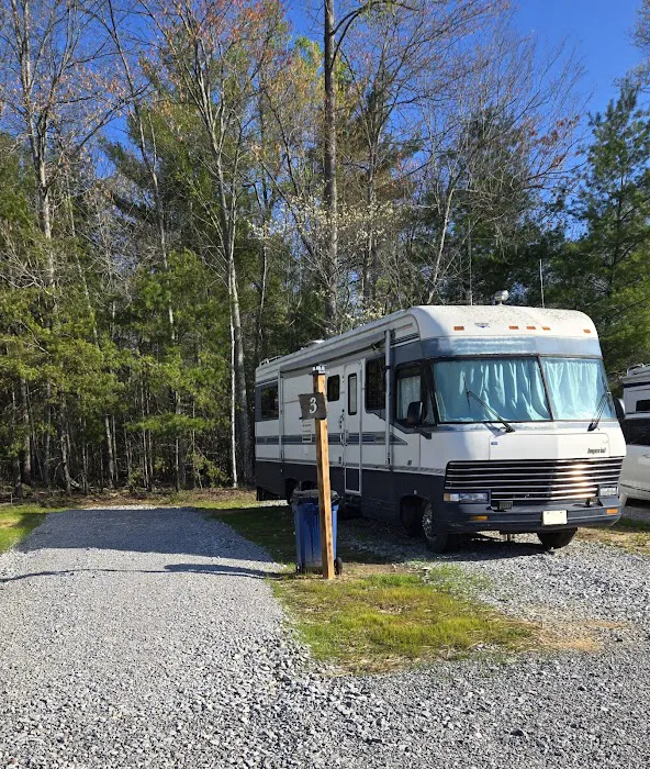Lone Mountain RV and Campground Picture 4