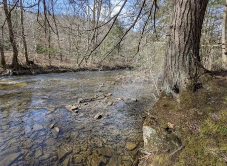 Great Meadows Campground