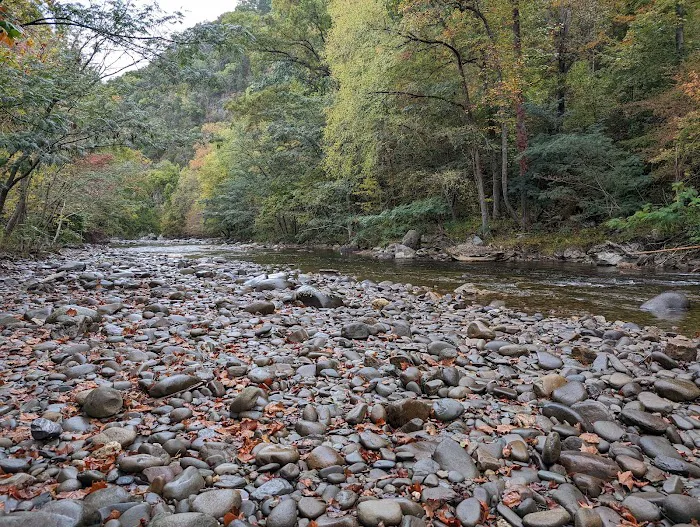 Vee Hollow Campground Picture 7