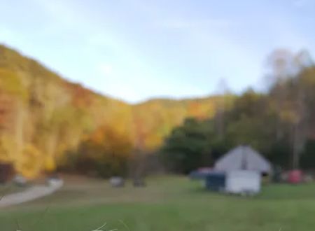 Orchard Cove Stables