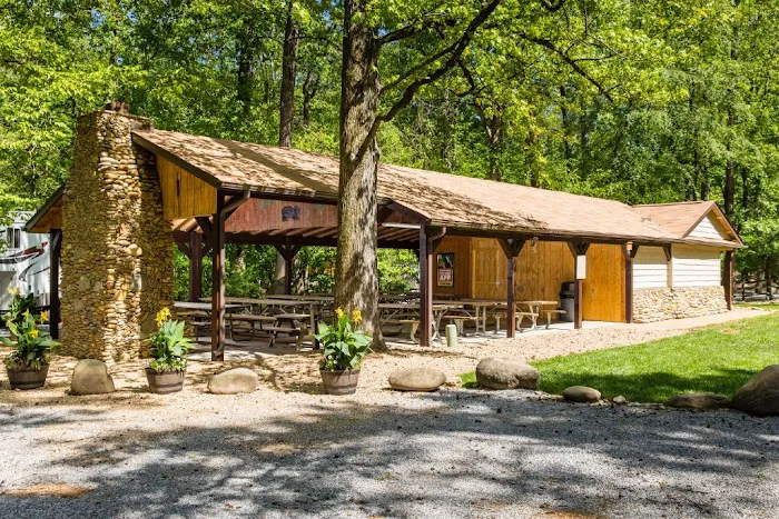 Townsend / Great Smokies KOA Holiday Picture 3