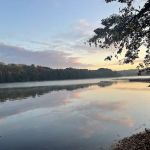 Lotterdale Cove