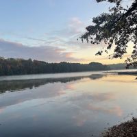 Lotterdale Cove ico