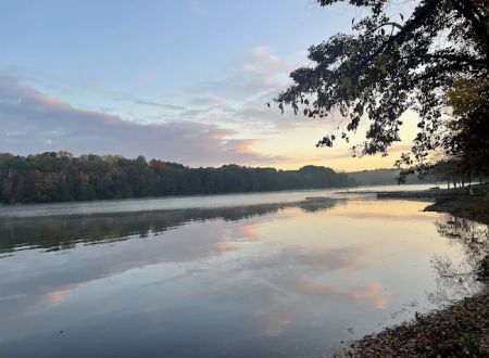 Lotterdale Cove