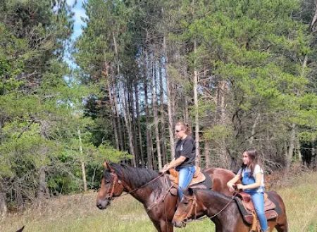 D bar D Ranch