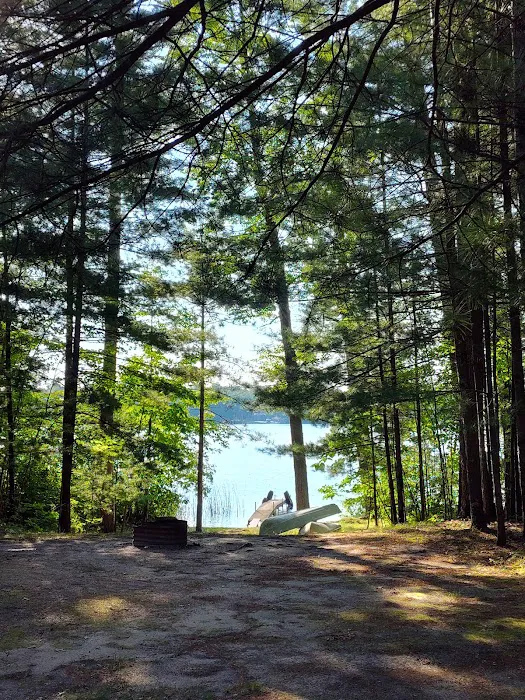 Pickerel Lakeside Campground Picture 1