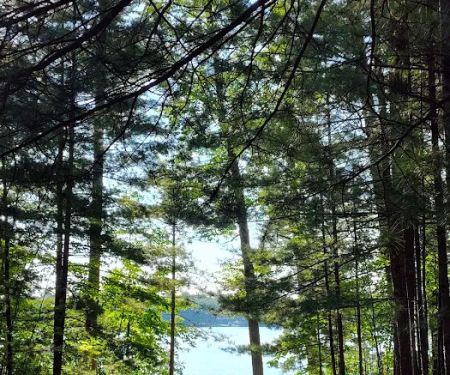 Pickerel Lakeside Campground