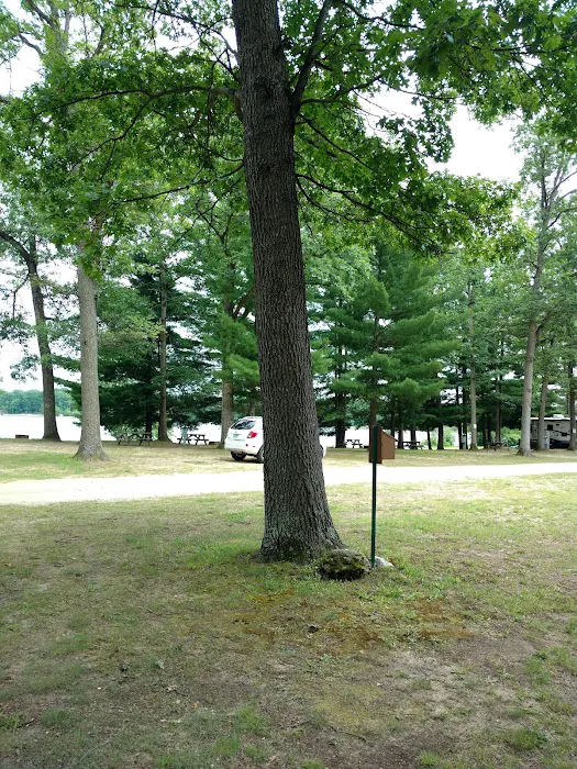 Pickerel Lakeside Campground Picture 10