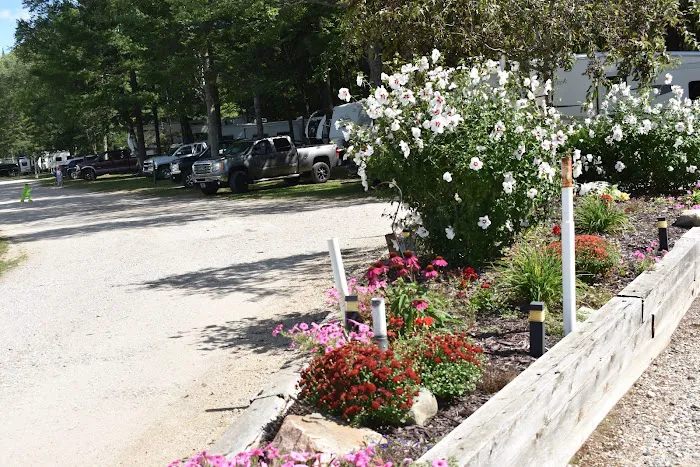 Wooded Acres Family Campground Picture 7
