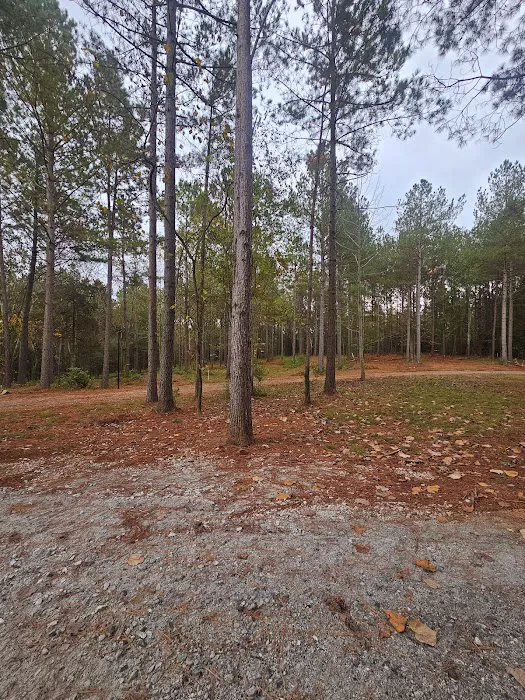 Trails 2 Paradise RV Park Picture 6