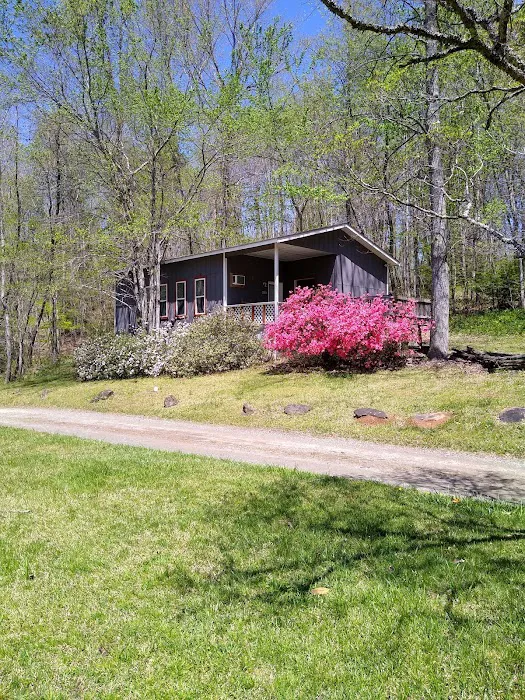Hickorynut Cove Campgrounds Picture 3