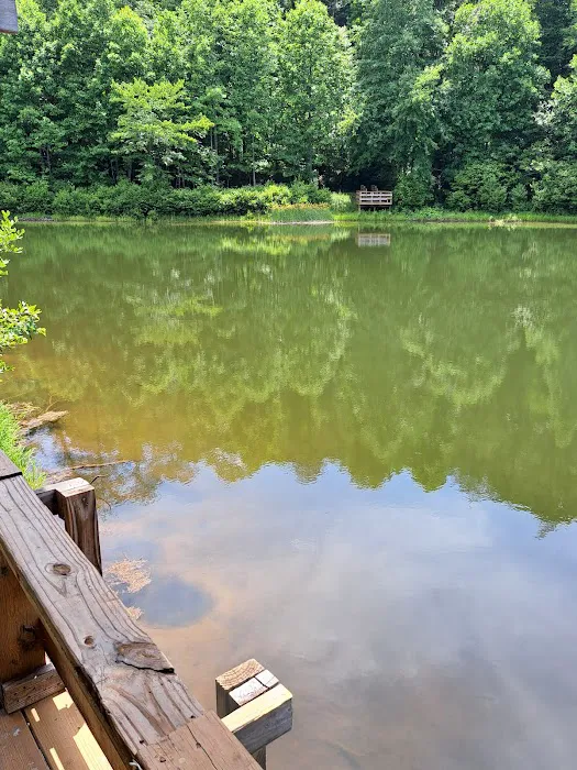 Hickorynut Cove Campgrounds Picture 6