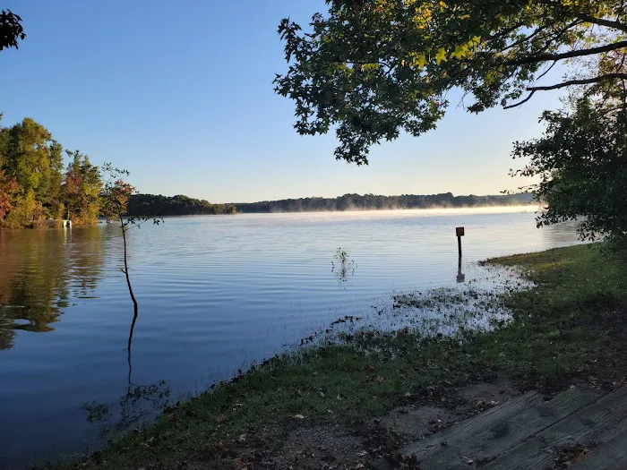 Springfield Campground Picture 2