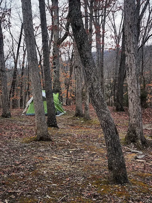 Standing Stone Campground Picture 10