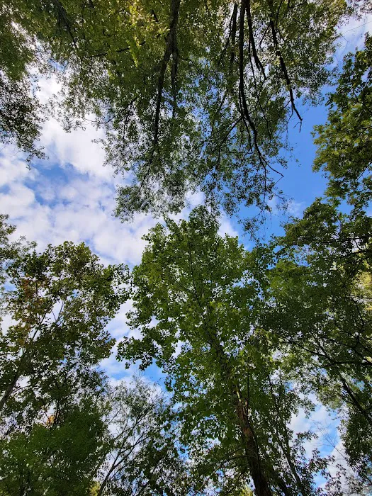 River Trail Campground Picture 6