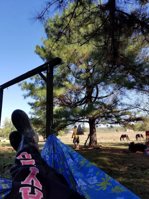 Horseshoe Acres Campground Picture 7
