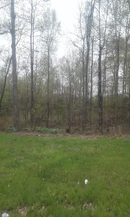 Bryan Lake Campgrounds Picture 5