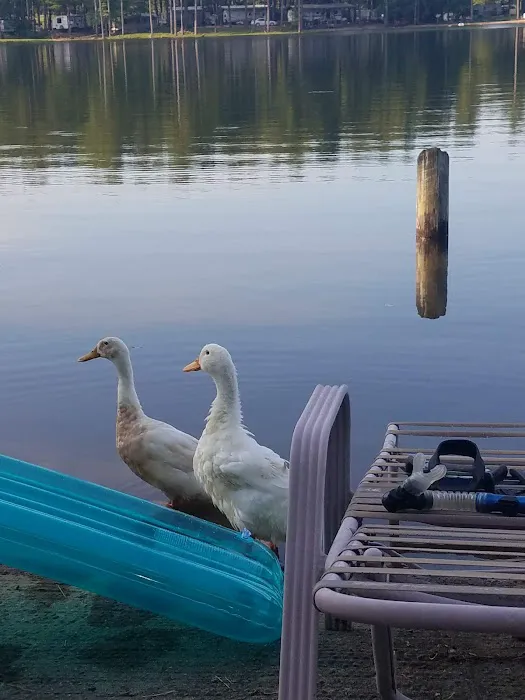 Bryan Lake Campgrounds Picture 4