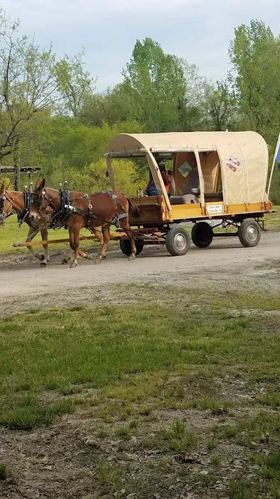 Bryan Lake Campgrounds Picture 8