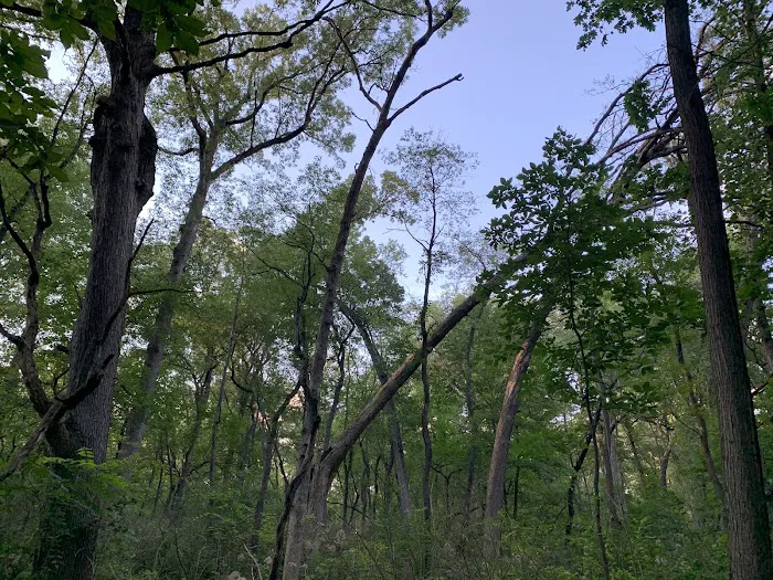 Greene Valley Campground Picture 4