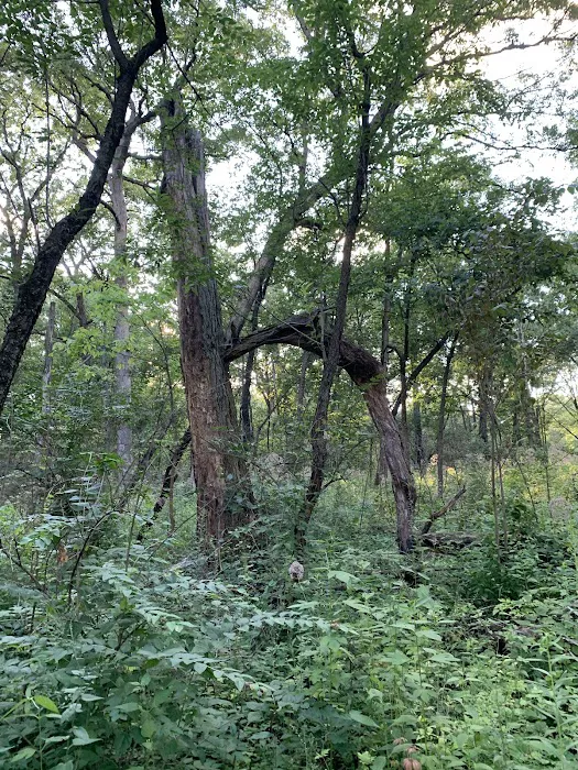Greene Valley Campground Picture 7
