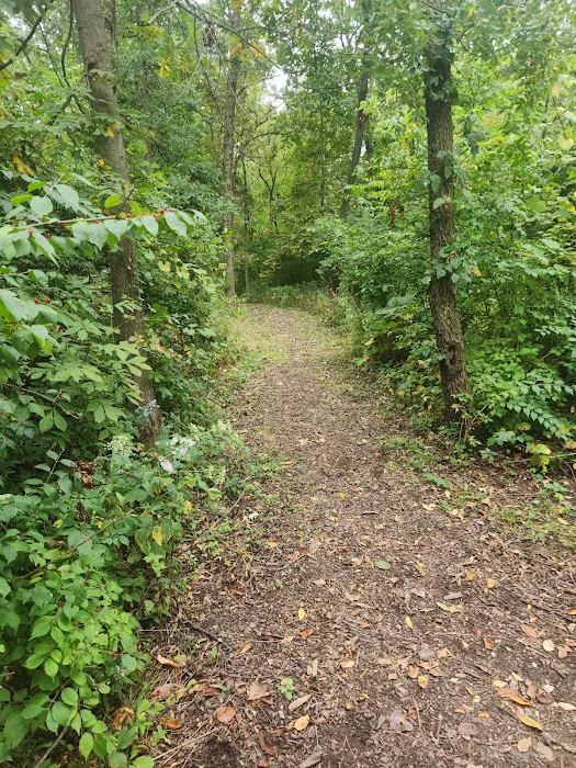 Camping Site 2 Picture 1