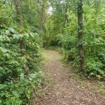 Camping Site 2