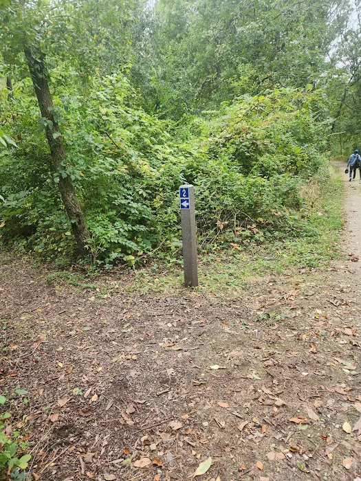 Camping Site 2 Picture 3