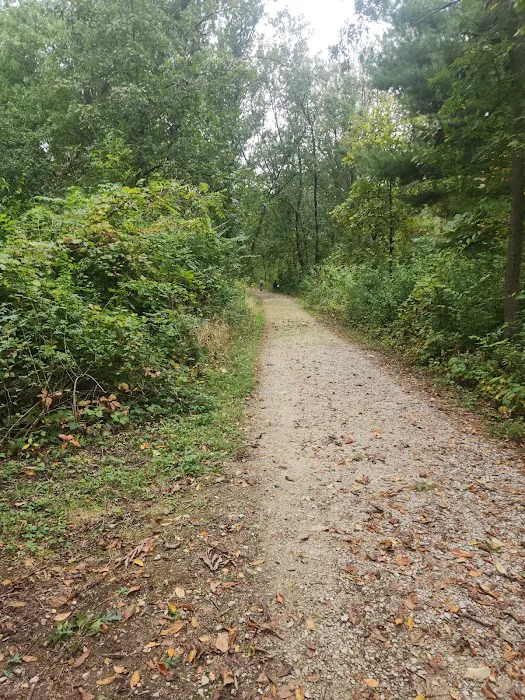 Camping Site 2 Picture 2