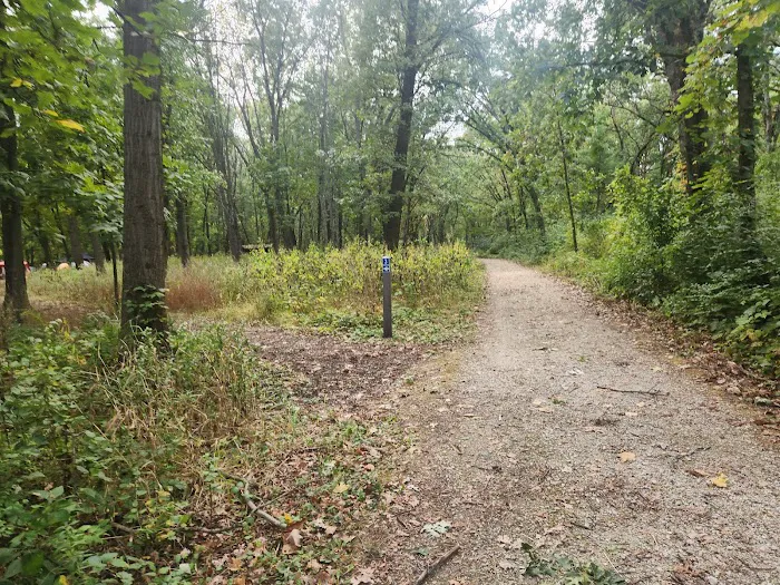 Camping Site 3 Picture 1