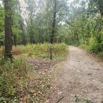 Camping Site 3