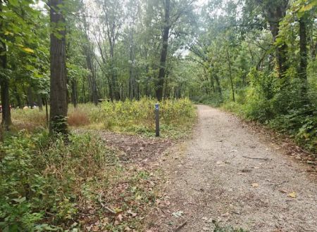 Camping Site 3